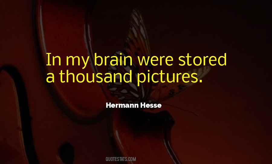 Brain Pictures Quotes #1308094