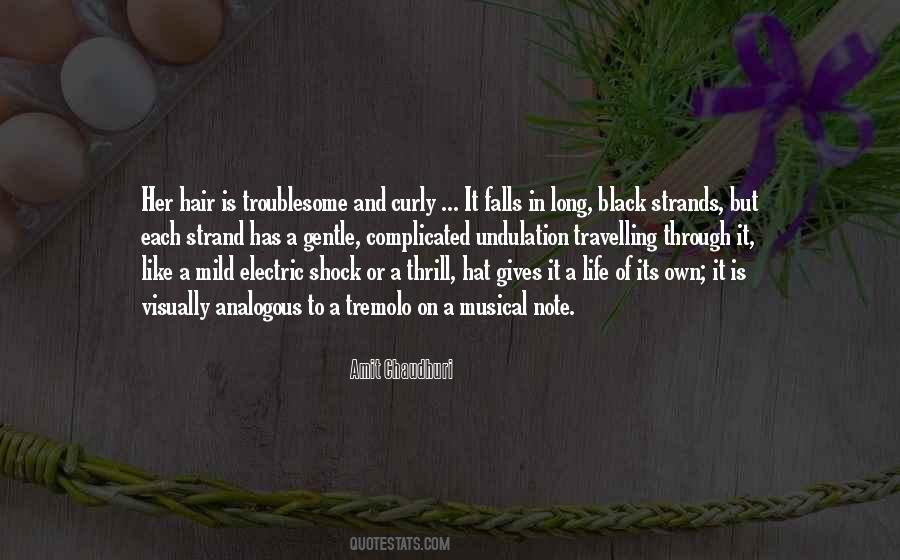 Musical Life Quotes #919637