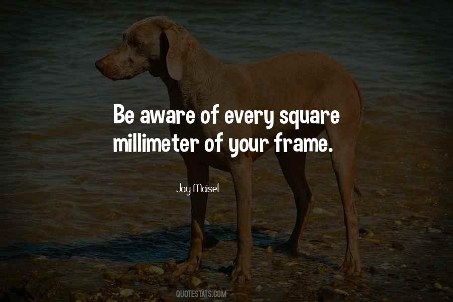 Quotes About Millimeter #786581