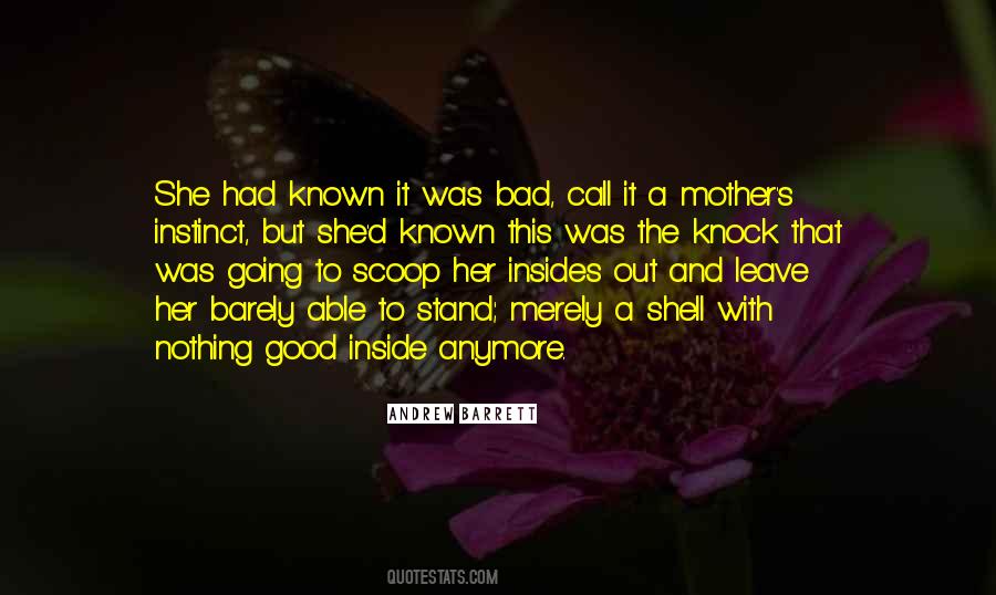 Bad Mother Quotes #1016013