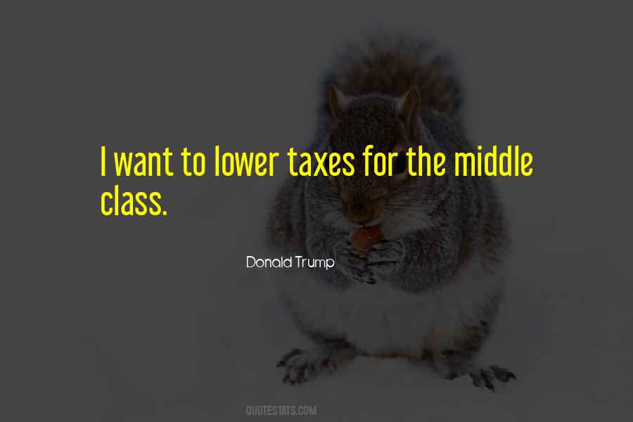 Lower Middle Class Quotes #88503