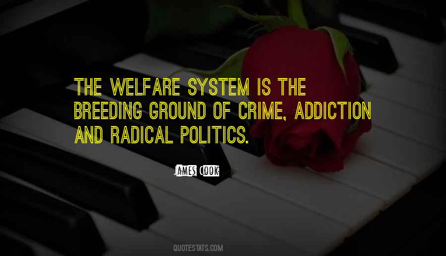 Quotes About The Welfare System #135495