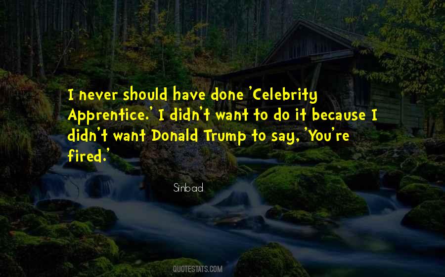 Celebrity Apprentice Quotes #1803440