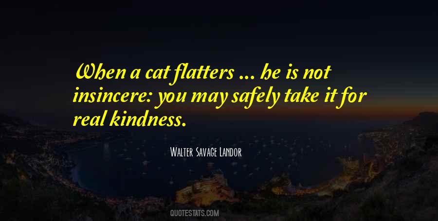 Real Kindness Quotes #1592263