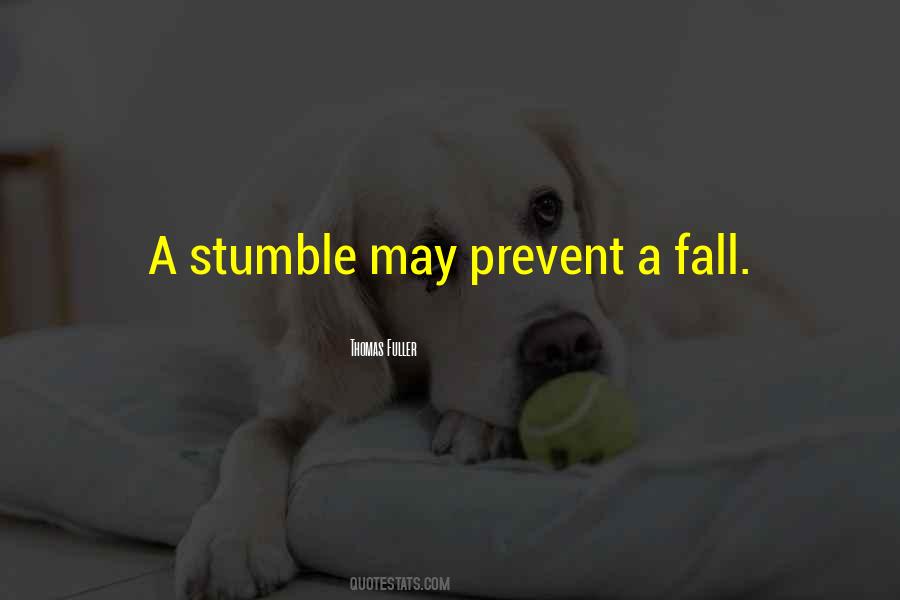 We Stumble And Fall But Get Up Quotes #1108809
