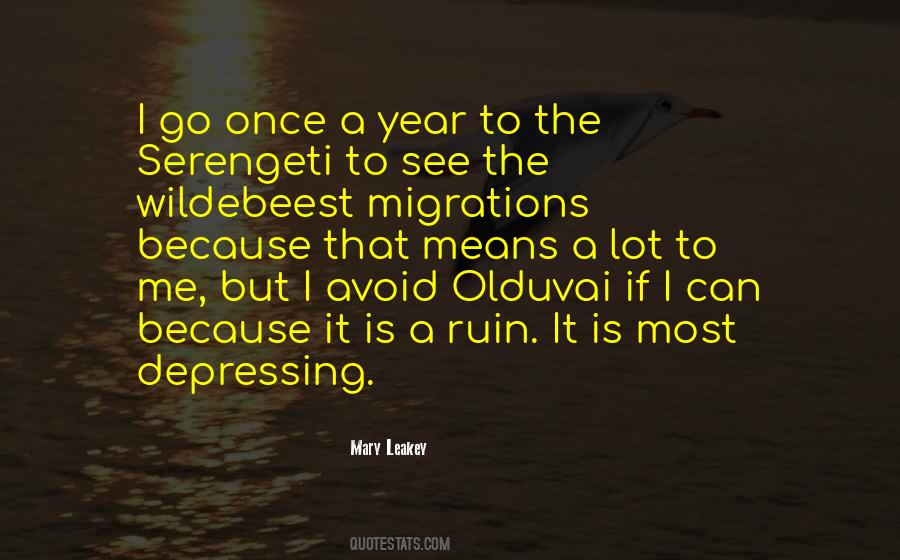 Quotes About Migrations #563981