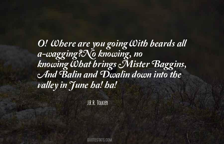 Baggins Quotes #1656008