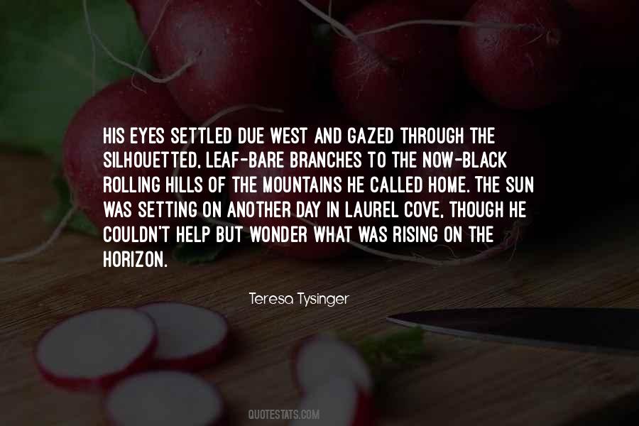 Contemporary Christian Fiction Quotes #1713603