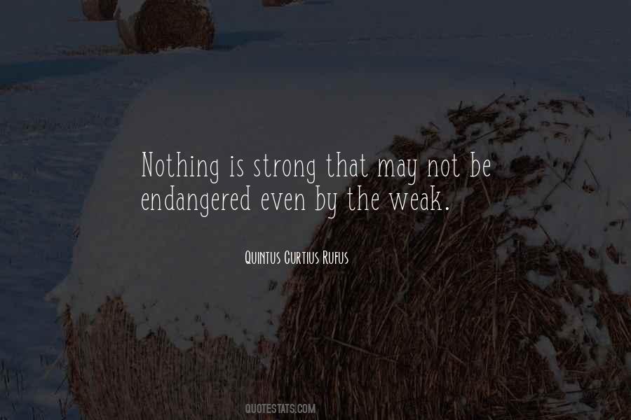 Quotes About The Weak #1195728