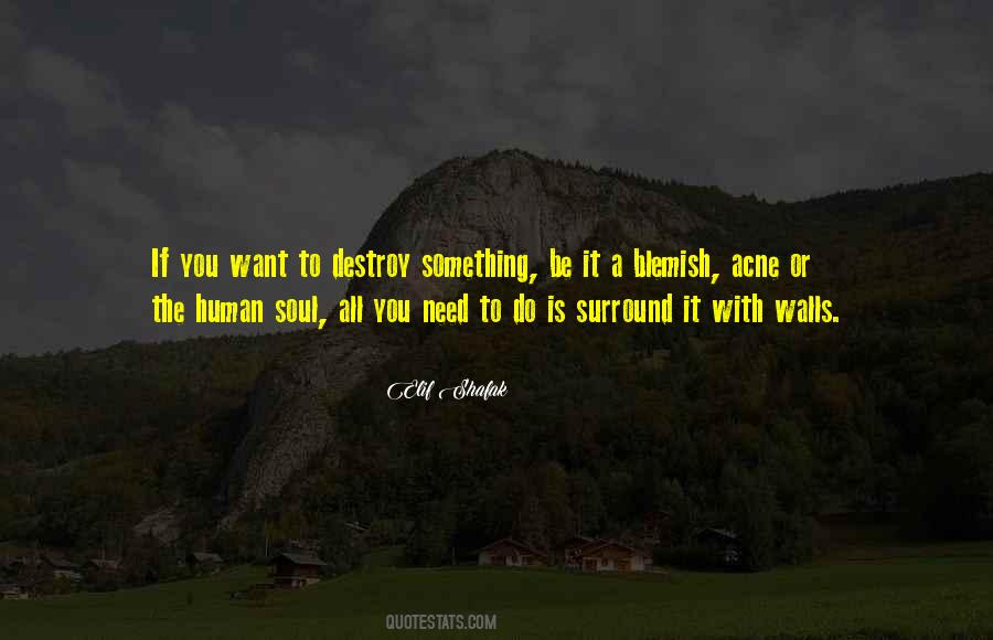 Human Soul Quotes #1216070