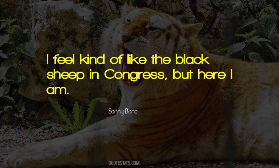 Feel Like A Black Sheep Quotes #315022