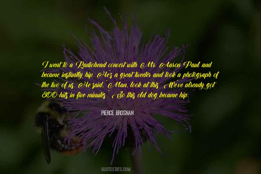 1 800 Where R You Quotes #423147