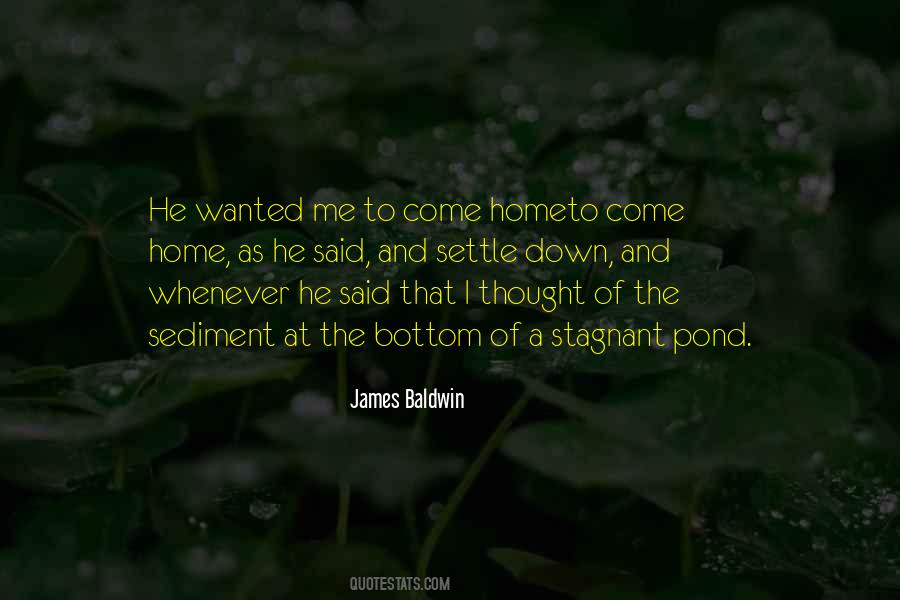 Baldwin Quotes #56502