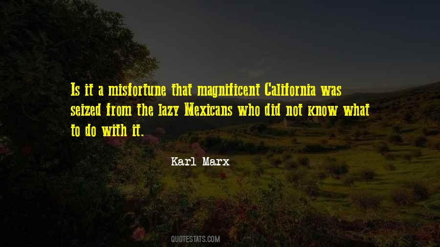 Quotes About Mexicans #556687