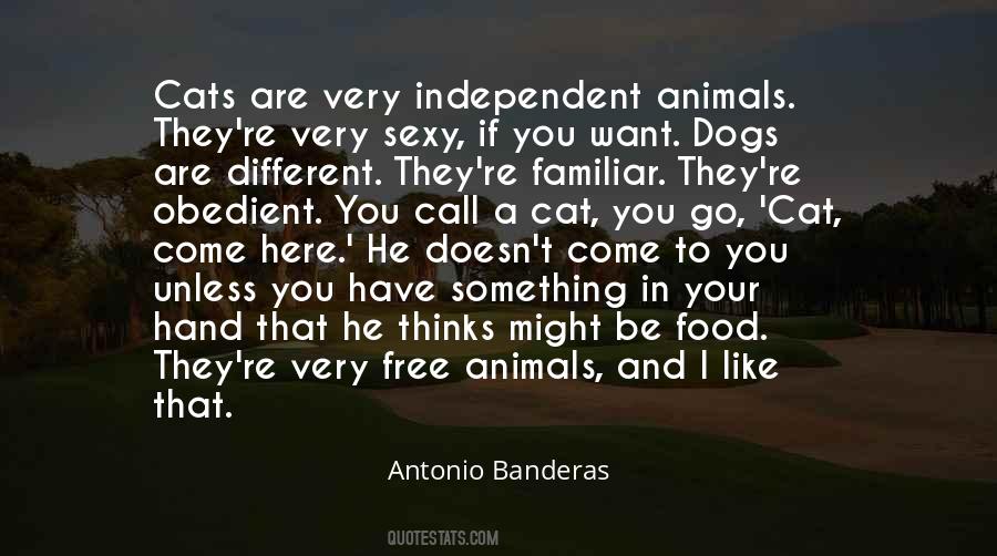 Banderas Quotes #646900