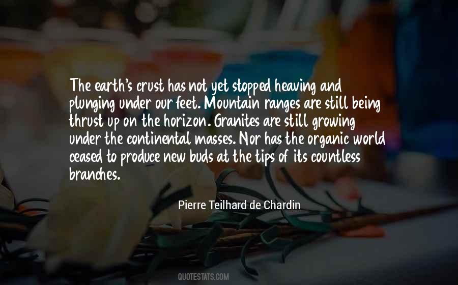 De Chardin Quotes #118922