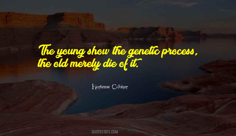 Process The Quotes #457261