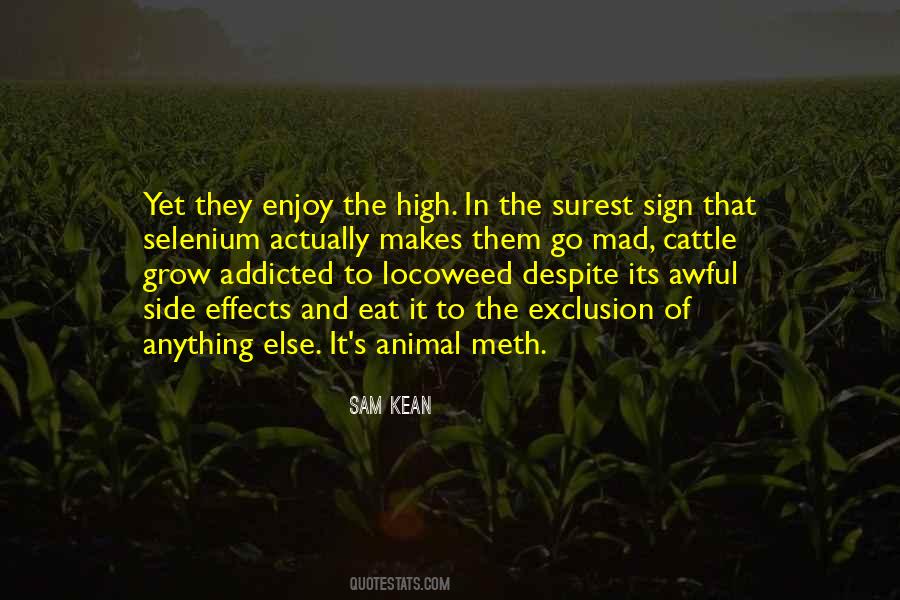 Quotes About Meth #1251916