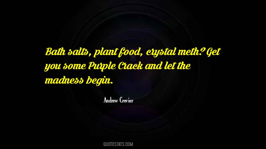 Quotes About Meth #868958