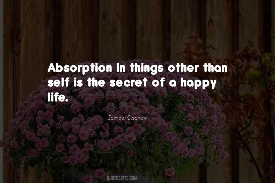 Secret Happiness Quotes #289836