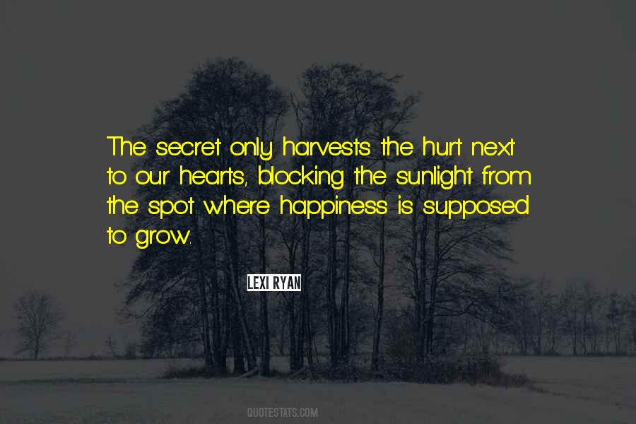 Secret Happiness Quotes #326277