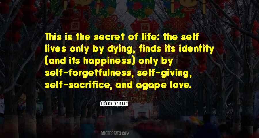 Secret Happiness Quotes #513613