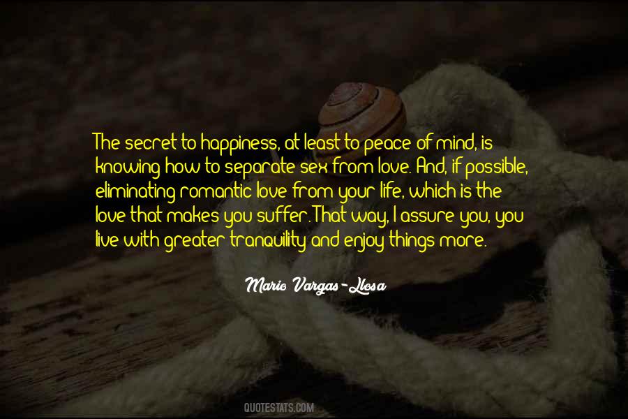 Secret Happiness Quotes #599961
