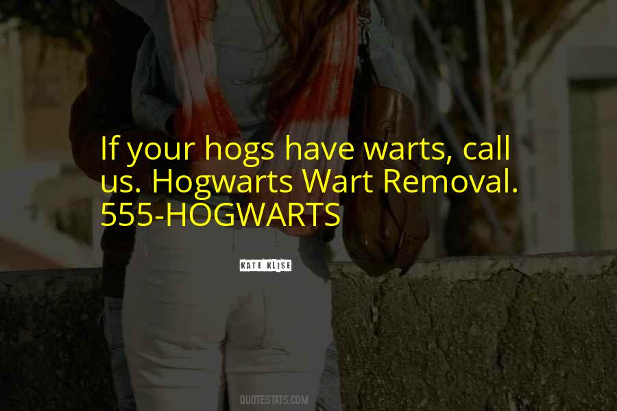 At Hogwarts Quotes #999841