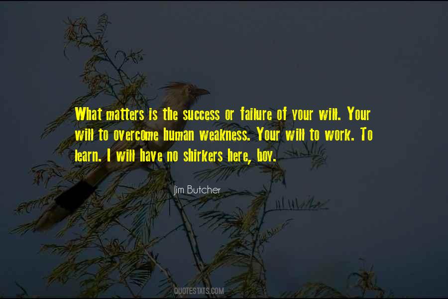 Success Failure Work Quotes #224698