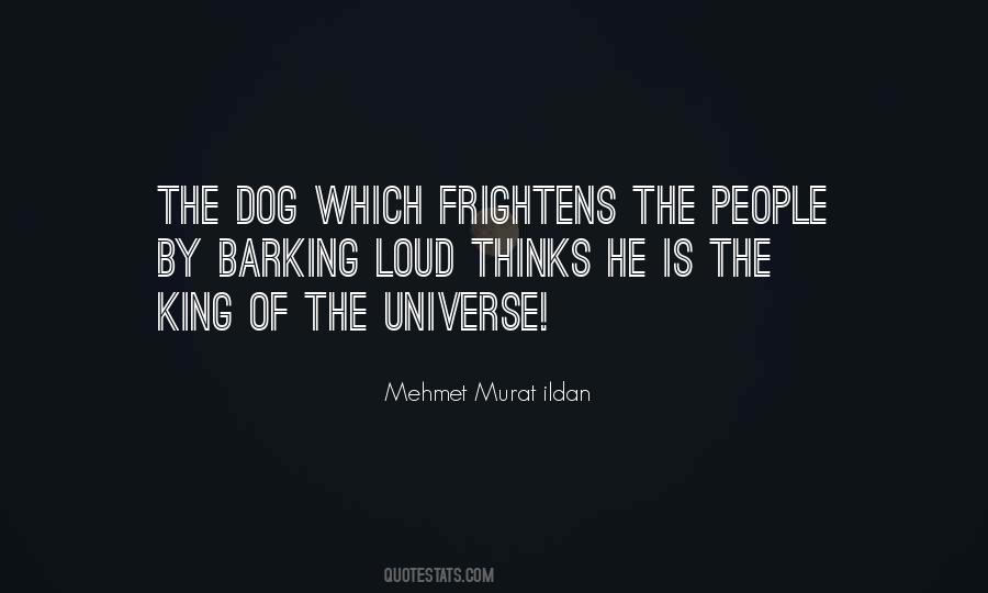 Barking Up Quotes #151254