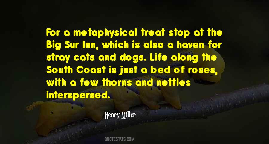 Henry Miller Big Sur Quotes #310856
