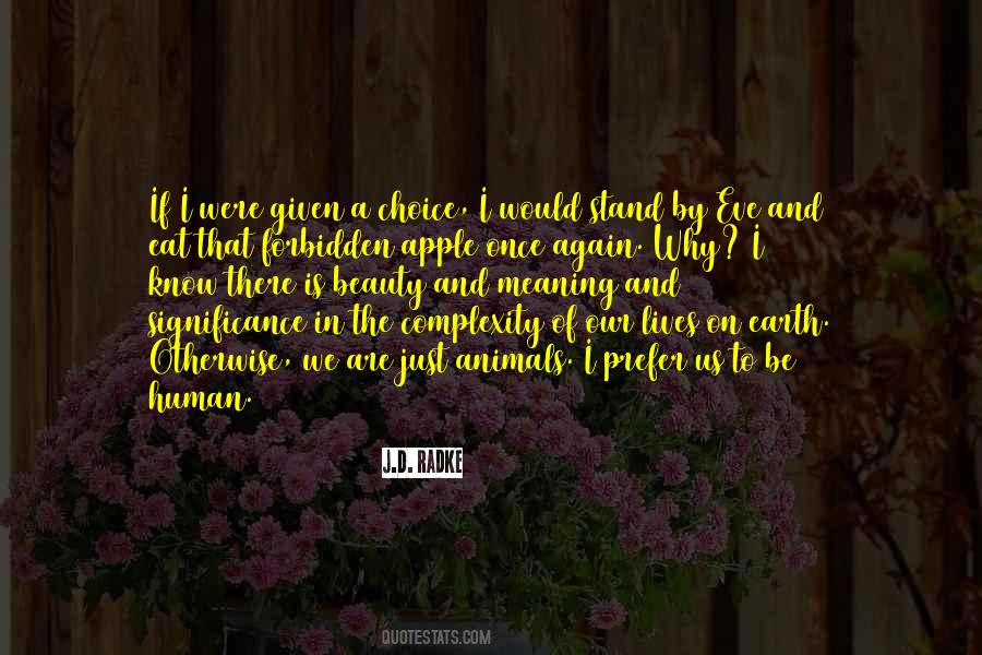 Snowfall In Shimla Quotes #1215136