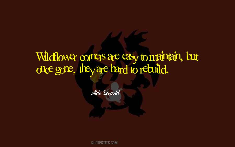 Wouldnt Change A Thing Quotes #105510