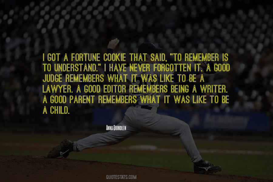 Being A Lawyer Quotes #212876