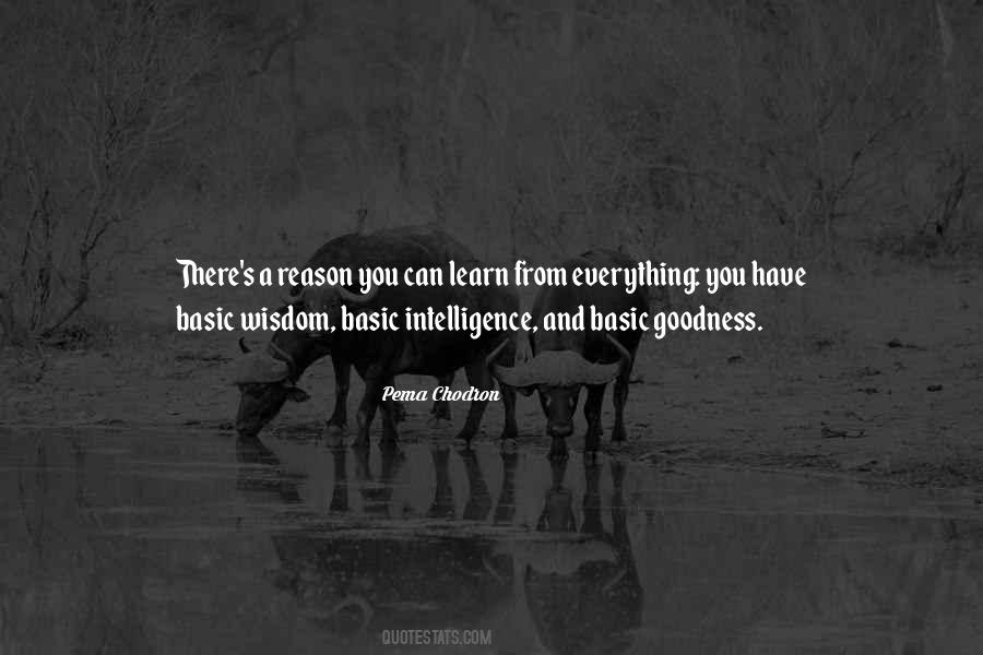 Basic Goodness Quotes #1091785