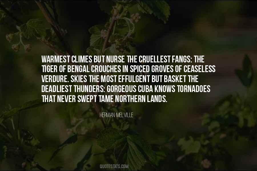 Basket Quotes #1077852