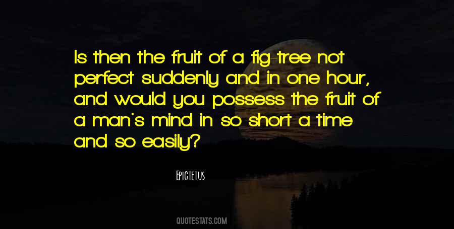 No Such Thing As Perfect Time Quotes #13307