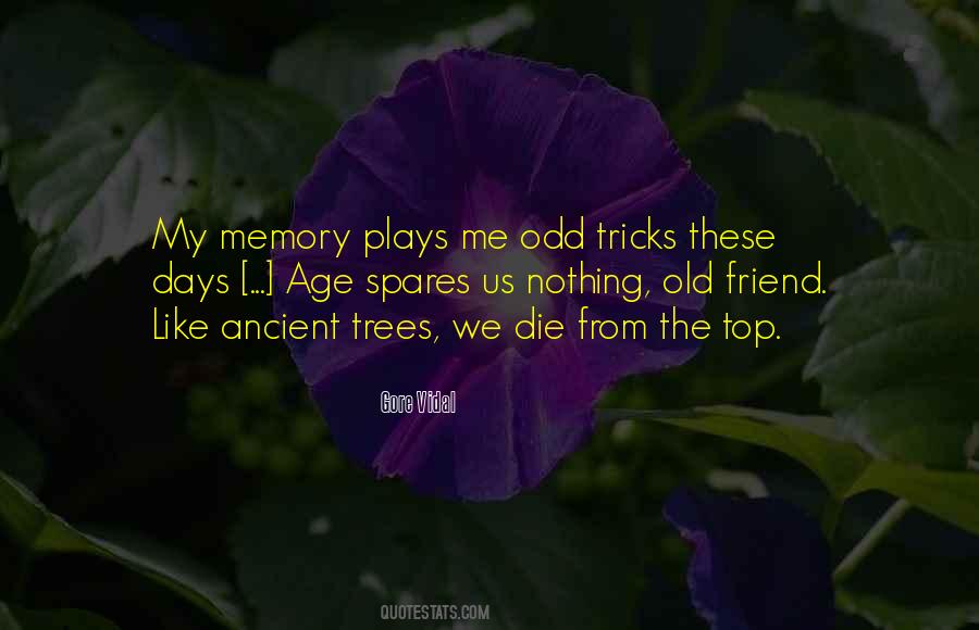 Quotes About Memory Of A Friend #863049