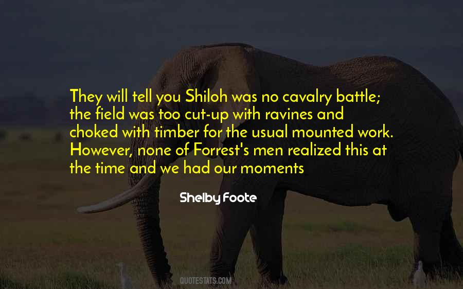 Battle Of Shiloh Quotes #123366