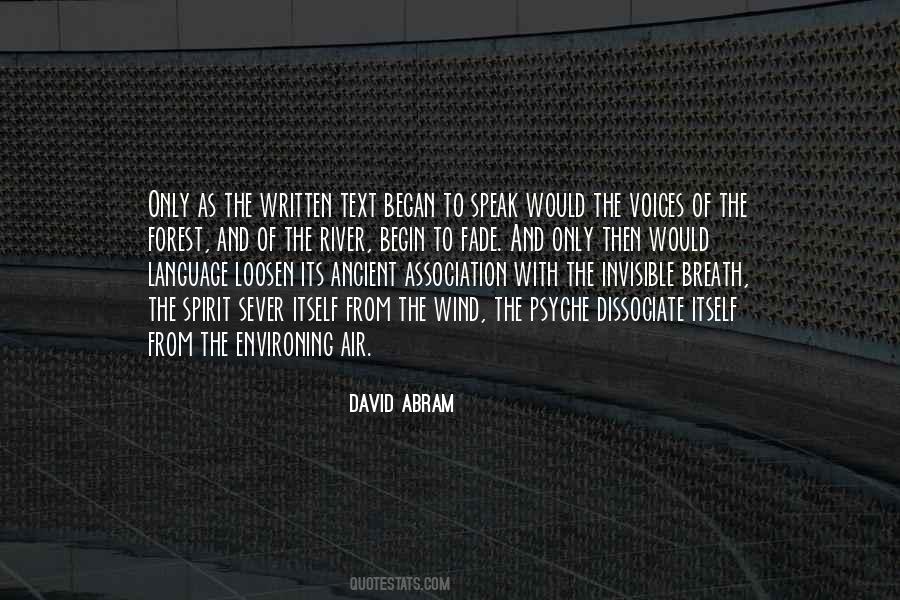 A Voice In The Wind Quotes #1025529