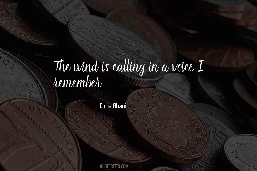 A Voice In The Wind Quotes #1059595