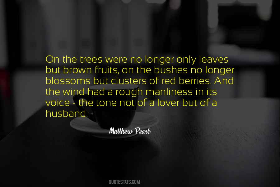 A Voice In The Wind Quotes #1293610