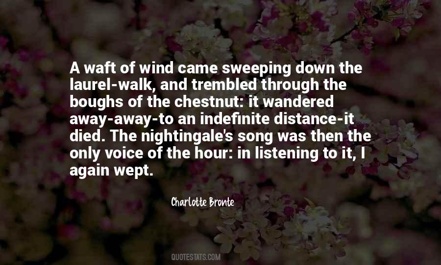 A Voice In The Wind Quotes #147271