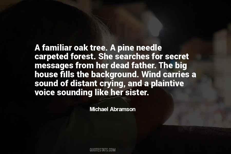 A Voice In The Wind Quotes #1497083
