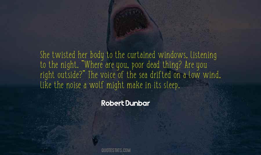 A Voice In The Wind Quotes #1541484