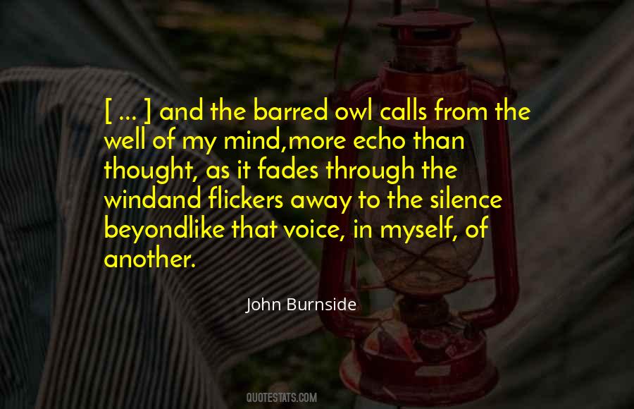 A Voice In The Wind Quotes #1584384