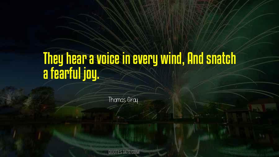 A Voice In The Wind Quotes #182566