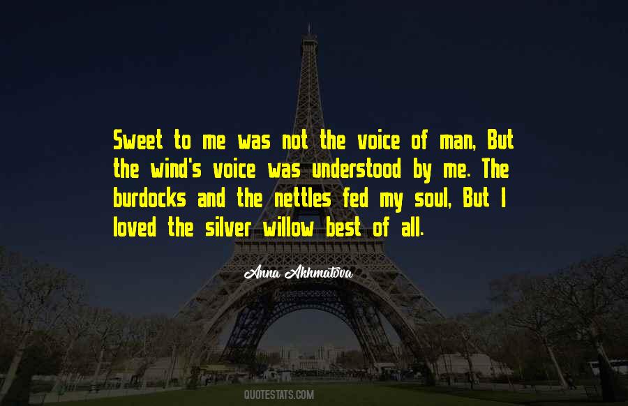 A Voice In The Wind Quotes #1868618