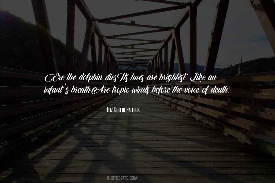 A Voice In The Wind Quotes #191673