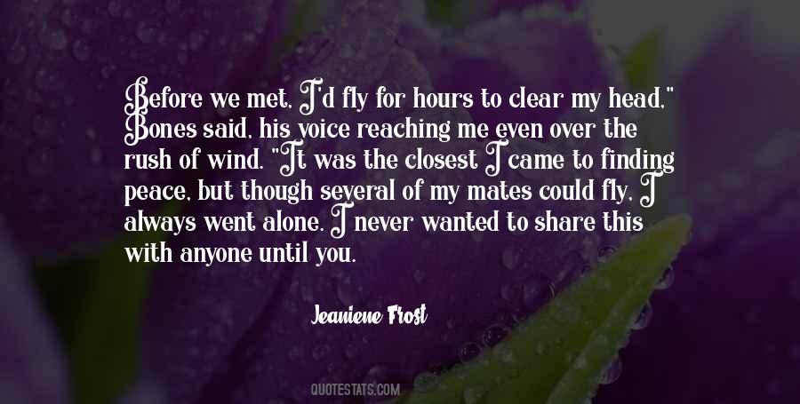 A Voice In The Wind Quotes #605587